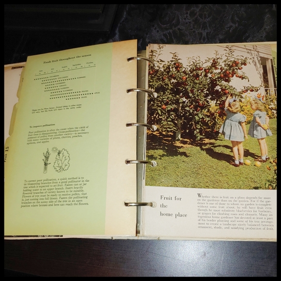 1951 Better Homes and Garden Garden Book - Picture 9 of 16